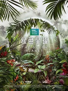 《绿色星球》：地球秘境的视觉盛宴，揭秘植物的生命奇迹