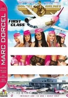 《法国空姐1》：制服下的秘密与梦想，一场浪漫与冒险的飞行之旅